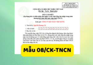 mau cam ket 08 ck tncn 3